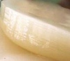 Kombucha Scoby